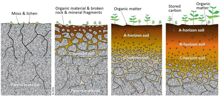 10.3 Soil Formation – Environmental Geology