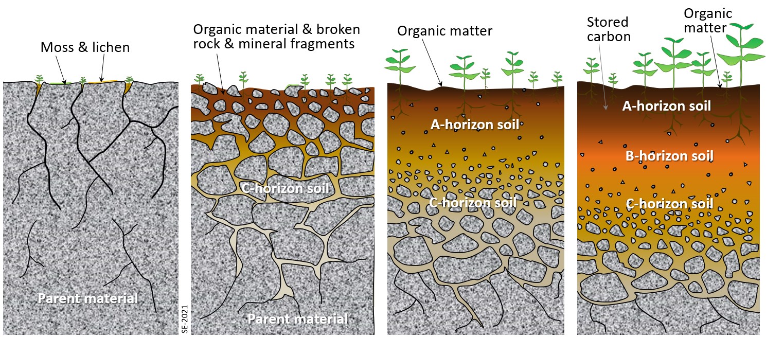 rock-types-rock-science-earth-science-lessons-pseudo-science-earth